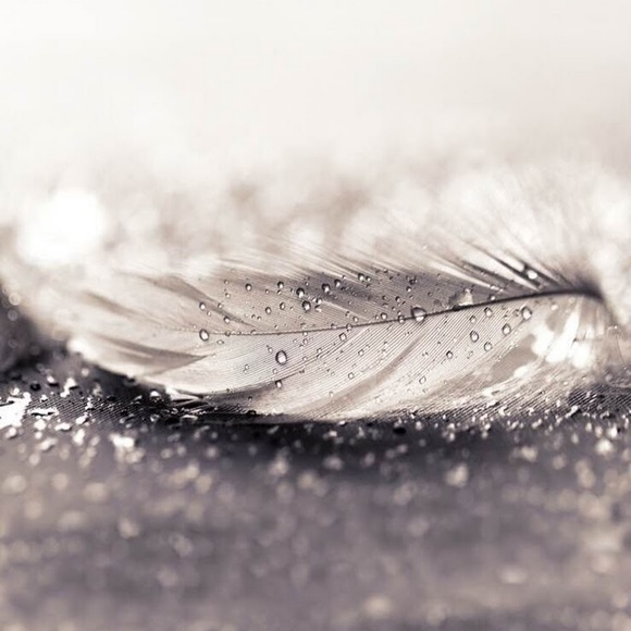 Meet your Posher, Chanel - Picture 1 of 1